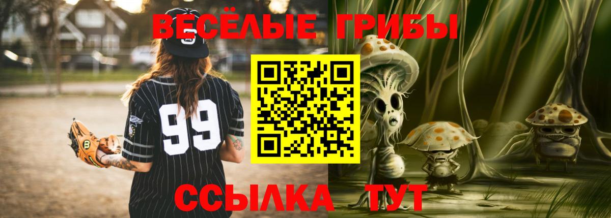 Галлюциногенные грибы Psilocybine cubensis Альметьевск